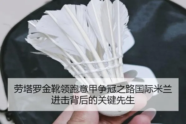 劳塔罗金靴领跑意甲争冠之路国际米兰进击背后的关键先生